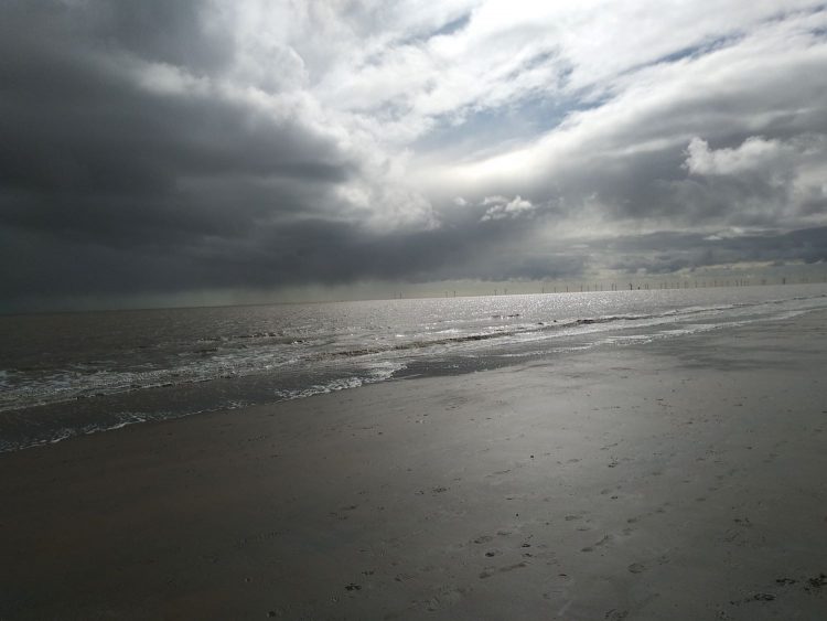 sea6.jpg sea6.jpg