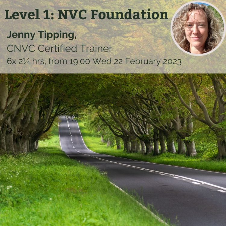 NVC Foundation Event Poster square