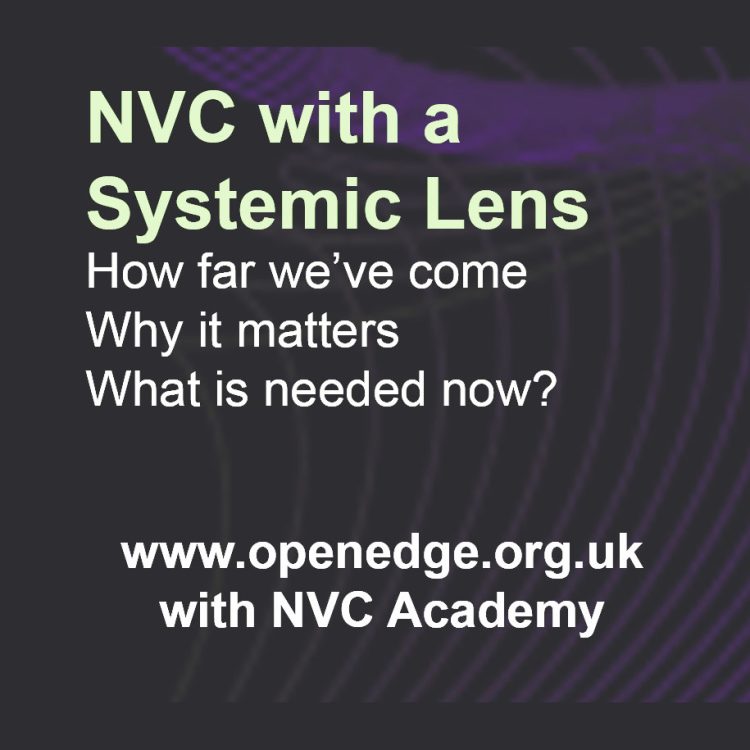 NVC systemic lens square NVC systemic lens square